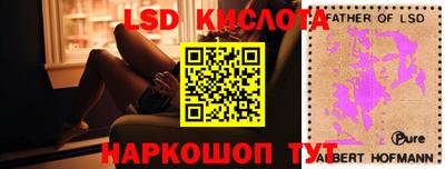 спайс Берёзовский