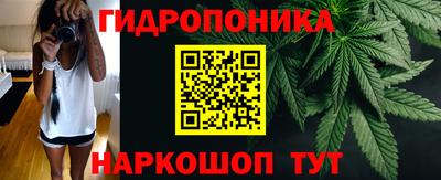 трава Будённовск