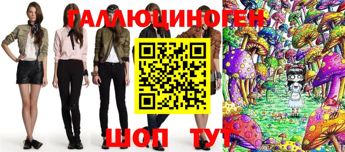 Псилоцибиновые грибы Psilocybe Ижевск