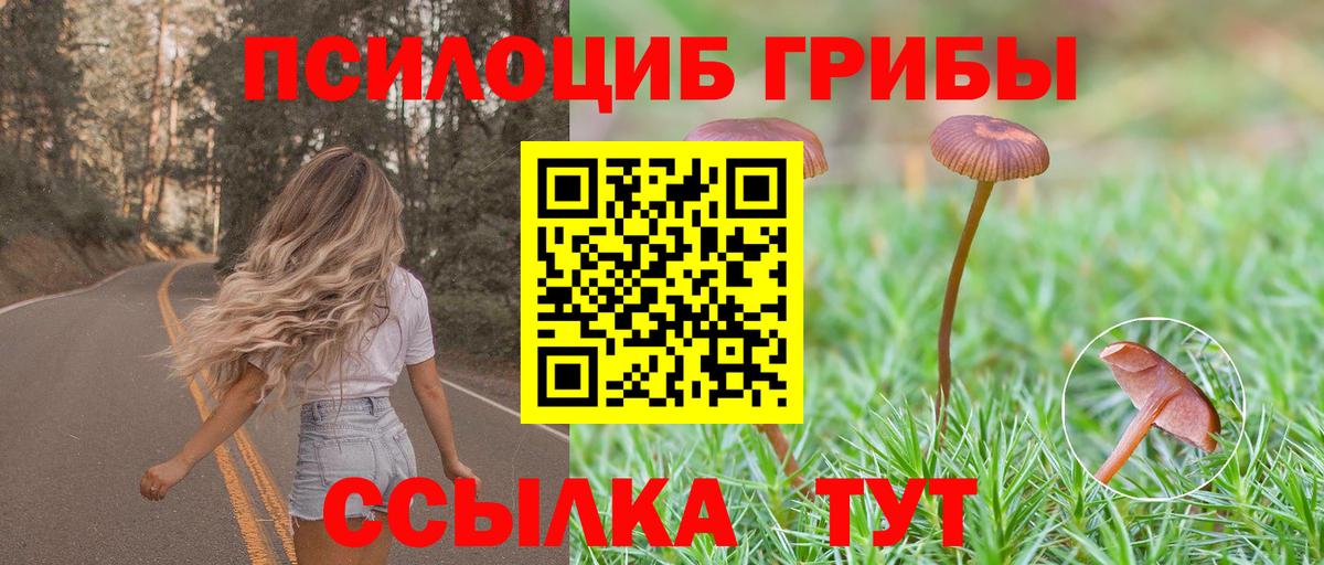 Галлюциногенные грибы мицелий Ижевск