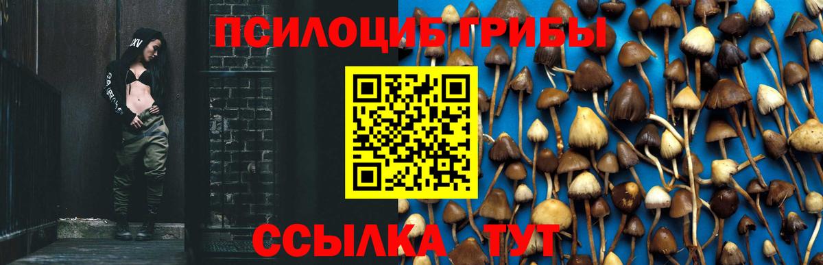 Галлюциногенные грибы MAGIC MUSHROOMS  Вход с VPN  Ижевск 